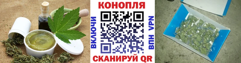 Купить где  Каргат  Canna-Cookies конопля 